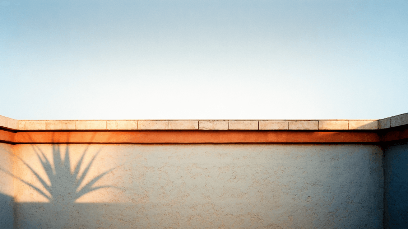 Generated image: the shadow of a desert plant on a chalk stucco wall under a travertine cap